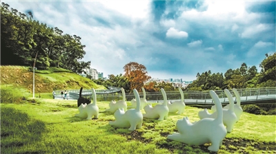 走在云道，看花看展看AR